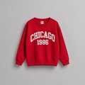 Boys Drop-Shoulder Sweatshirt